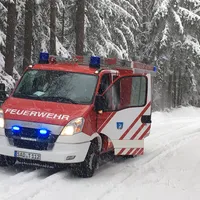 baum_auf_fahrbahn7-03.jpg