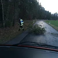 baum_auf_fahrbahn3-08.jpg