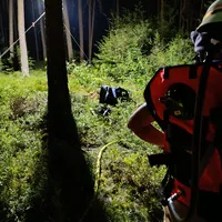 Waldbrand Kreith10.jpg