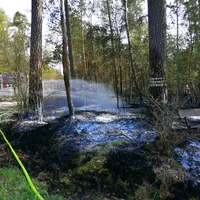 waldbrand_loisnitz4.jpg