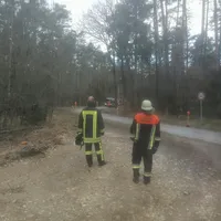 baum_droht_zu_fallen.jpg
