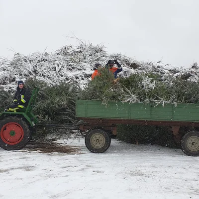 Christbaumsammeln der Jugendfeuerwehr
