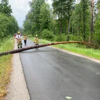Baum 2026_1.jpg
