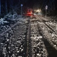 baum_auf_fahrbahn_feb.jpg