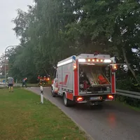 baum_auf_fahrbahn_20.jpg