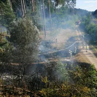 waldbrand4.jpg