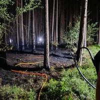 Waldbrand Kreith5.jpg