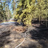 Waldbrand WK2.jpg