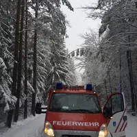 baum_auf_fahrbahn5-03.jpg