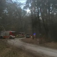 baum_droht_zu_fallen1.jpg